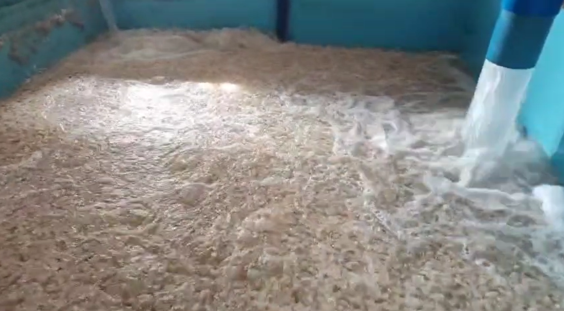 Synergia między mediami MBBR a procesem biofilmu – złota kombinacja w oczyszczaniu ścieków